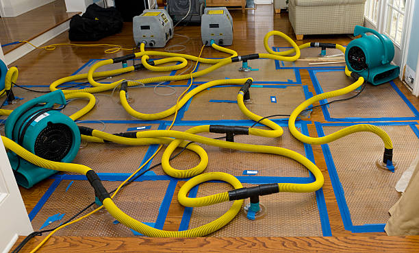 Professional Water Extraction technician working in Harrison, NJ